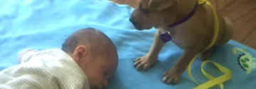 Moeder filmt verbazingwekkende reactie van puppy op slapende baby!